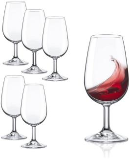 Rona Tasting Glas I.N.A.O. 6er Set 200ml 6 Gläser Set klassisches Verkostungsglas