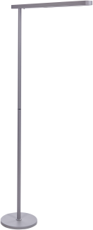 Stehlampe LED Metall silber 186 cm rechteckig PERSEUS