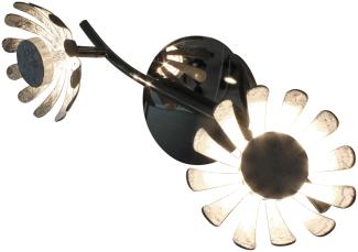 LED Deckenlampe Bloom 2-flammig 30cm Silberfarben