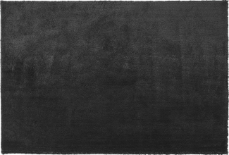 Teppich schwarz 200 x 300 cm Shaggy EVREN