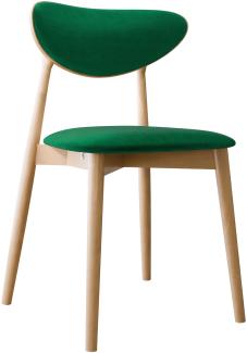 Esszimmerstuhl Bretoka C, Stuhl aus Buchenholz für Küche, Restaurant (Buche / Magic Velvet 2225)