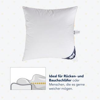 Heidelberger Bettwaren Kissen 80x40 cm | 1-Kammer-Kopfkissen mit Gänsedaunen und Federn | atmungsaktiv, hautfreundlich, hypoallergen für Bauch- und Rückenschläfer | Serie Polar