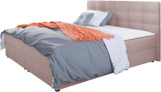 Mirjan24 Boxspringbett Wirig II, Rosa 160 x 200 cm