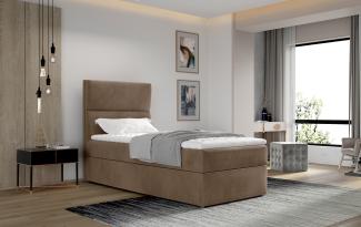 Arco 90x200, Boxspring Bett, Creme