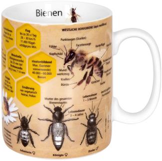 Könitz Wissensbecher Biene Becher, Kaffeebecher, Teetasse, Tasse, Porzellan, 360 ml, 11 1 330 2445