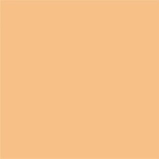 Kneer Edel-Zwirn-Jersey Spannbetttuch für Matratzen bis 22 cm Höhe Qualität 20 Farbe mango 140-160x220 cm