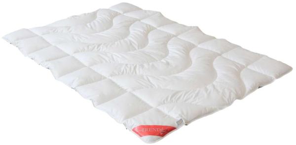 Badenia Trendline Tencel Duo-Steppbett 135x200 cm Winterdecke