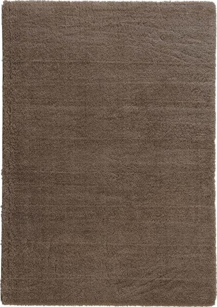 Teppich in Taupe aus 100% Polyester - 290x200x3cm (LxBxH)