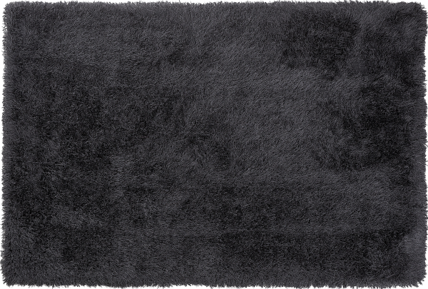 Teppich schwarz 160 x 230 cm Shaggy CIDE