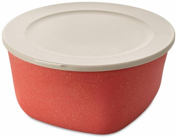 Koziol Dose Connect Box mit Deckel, Schüssel, Schale, Kunststoff-Holz-Mix, Nature Coral, 4 L, 7872704