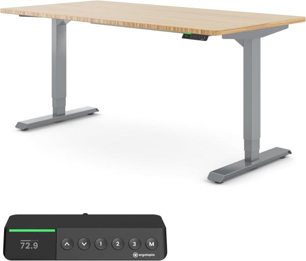 Desktopia Pro X - Elektrisch höhenverstellbarer Schreibtisch / Ergonomischer Tisch mit Memory-Funktion, Bambus Echtholz, Gestell Grau, 180x80 cm