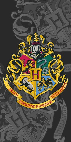 Harry Potter Hogwarts Wappen Duschtuch Strandtuch Badetuch 70 x 140 cm