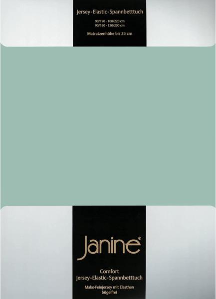 Janine Spannbetttuch ELASTIC-JERSEY Elastic-Jersey rauchgrün 5002-36 100x200