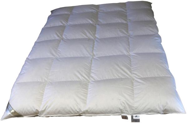 Eiszeit Premium 10 cm Winter Hochsteg Daunendecke Daunenbett 135x200 cm