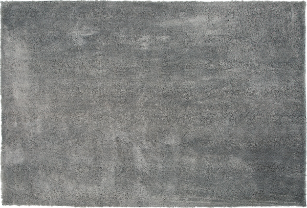 Teppich hellgrau 200 x 300 cm Shaggy EVREN