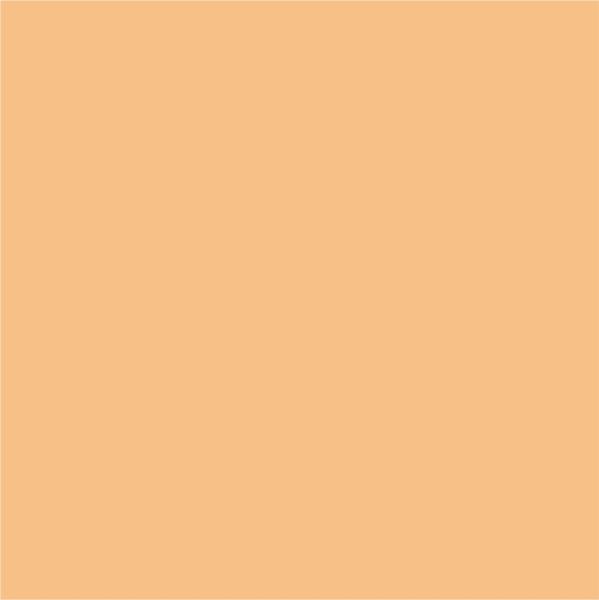 Kneer Edel-Zwirn-Jersey Spannbetttuch für Matratzen bis 22 cm Höhe Qualität 20 Farbe mango 180-200x220 cm